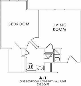 A1 floorplan